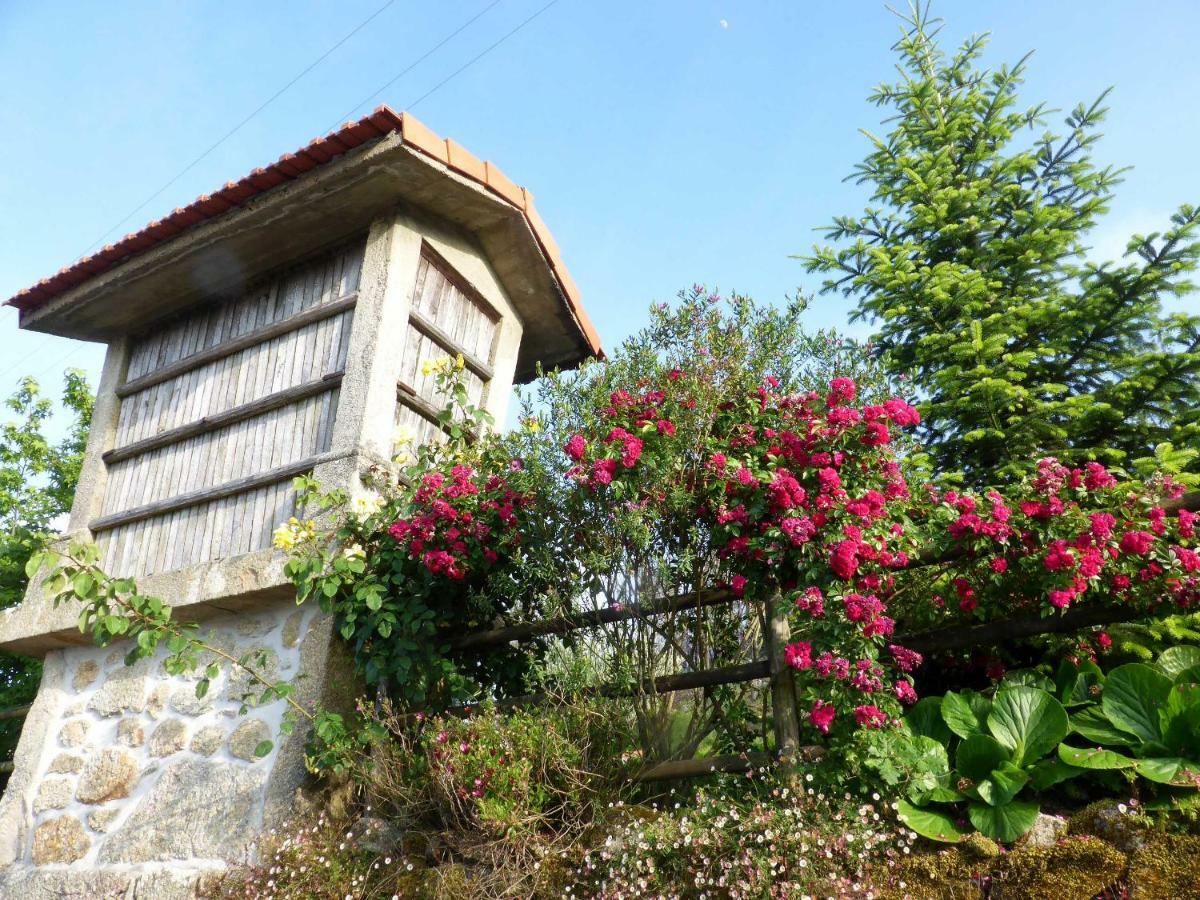 Casa Da Eira Velha Villa Vale de Cambra Kültér fotó