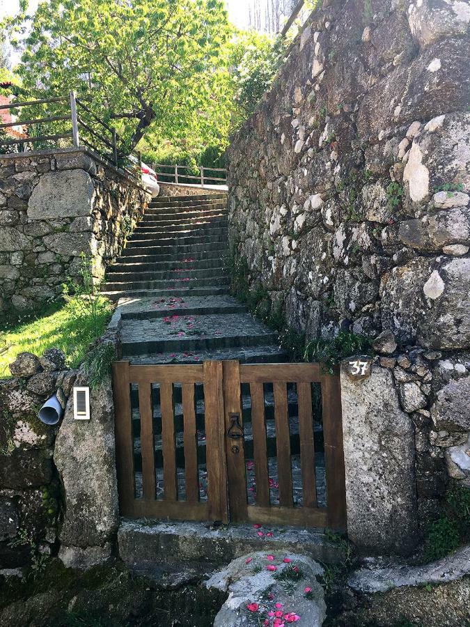 Casa Da Eira Velha Villa Vale de Cambra Kültér fotó