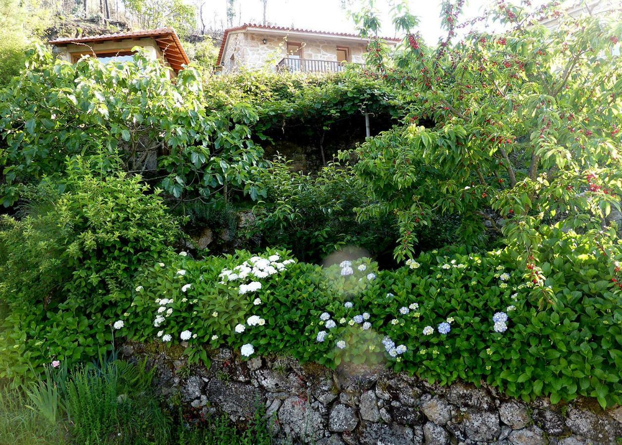 Casa Da Eira Velha Villa Vale de Cambra Kültér fotó